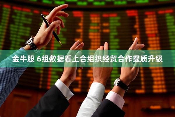 金牛股 6组数据看上合组织经贸合作提质升级